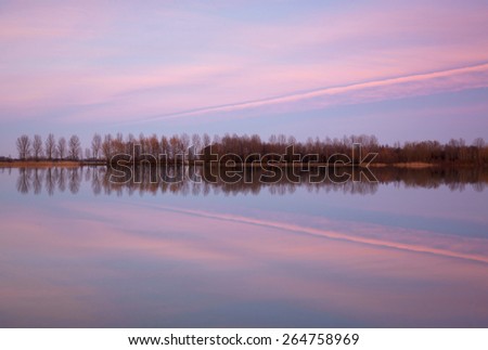 Row of trees reflected in water and a magenta sky