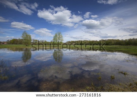 Dutch landscape with blue sky and clouds reflected in water