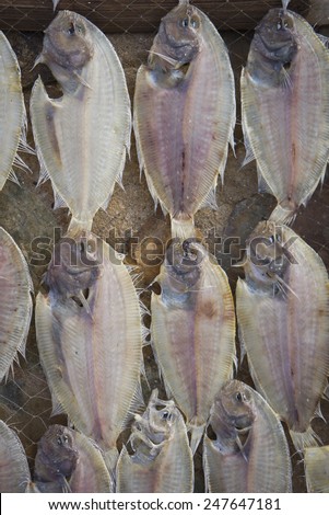 Dried fish at Mui Ne fishing village, Phan Thiet City, Viet Nam