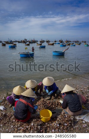 Group local woman with conical hat is working on the shore in Mui Ne fishing village, Phan Thiet city, Viet Nam
