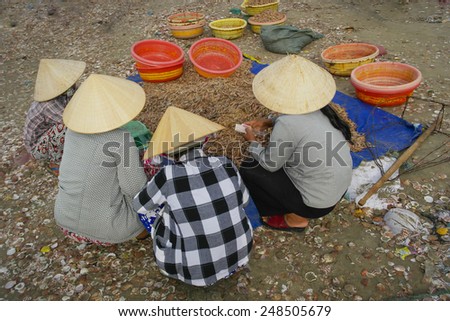 Group local woman with conical hat is working on the shore in Mui Ne fishing village, Phan Thiet city, Viet Nam