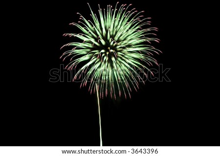 Fireworks explosion looking like a flower