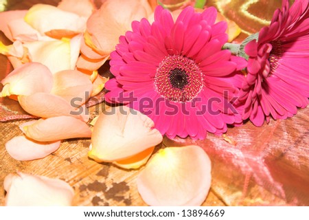 Wedding+bouquets+with+daisies+and+roses