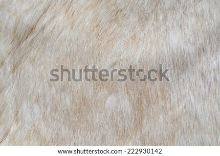 white fur texture background