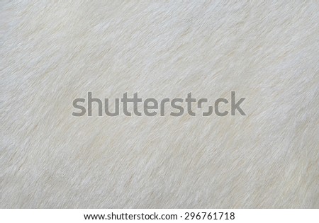 white fur texture background