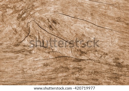 wood texture background. wood texture. wood texture. wood texture. wood texture. wood texture. wood texture. wood texture. wood texture. wood texture. wood texture. wood texture. wood texture. wood