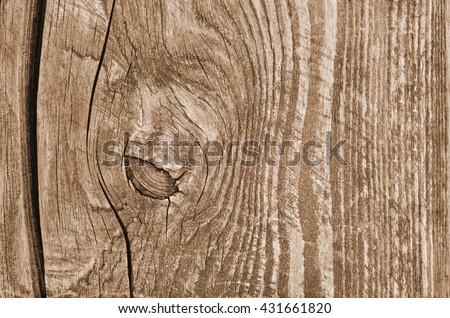 wood texture background. wood background. wood background. wood background. wood background. wood background. wood background. wood background. wood background. wood background. wood background. wood