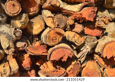 This is the picture of logs of wood that are being used for cooking in India. Some of the expensive Indian delicacies are cooked using wood fire. This results in huge deforestation in India.