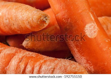 macro carrots