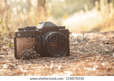 old film cameras on the nature