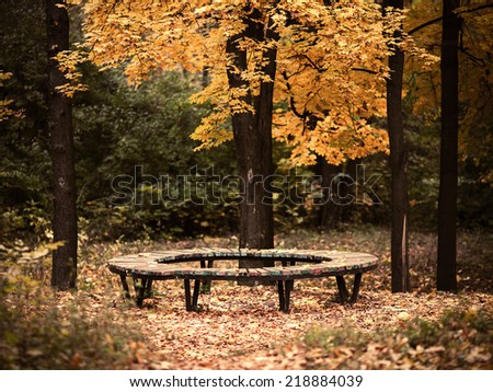 bench in the autumn forest.