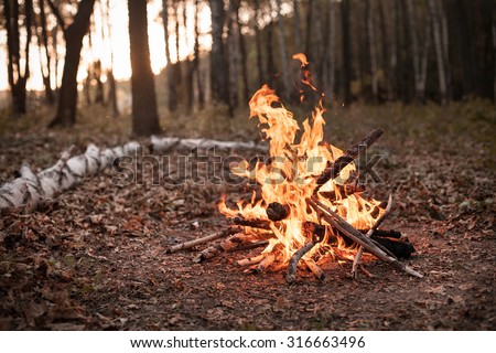 Bonfire in the autumn forest under the light of sunset