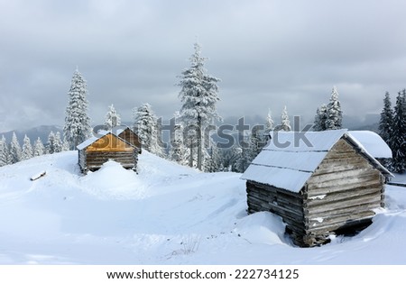 Carpathian mountain landscape in winter. Mountain camp in the Carpathian mountains in the background beautiful fir trees in the winter season. Ukraine.
