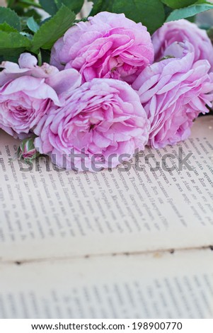 pink rose and an antique book lying on the old boards
