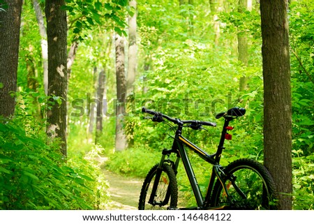 Mountain Bike on the Trail in the Beautiful Green Summer Forest