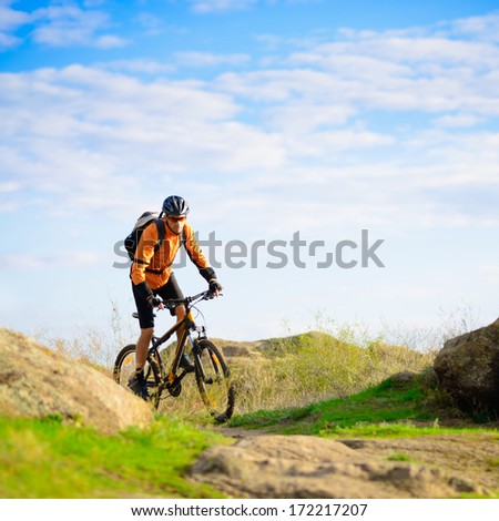 Cyclist Riding The Bike On The Beautiful Spring Mountain Trail