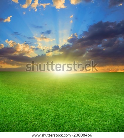 Beautiful Bright Sunset in the Wild Field