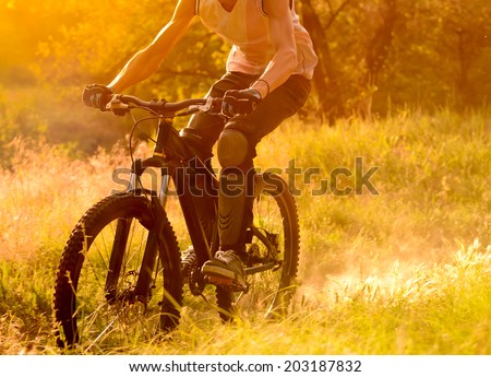 Cyclist Riding the Bike on the Morning Trail in the Beautiful Summer Forest at Sunrise