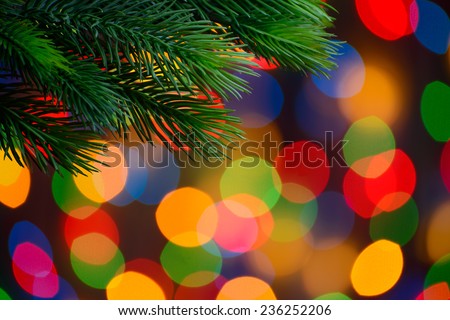Christmas Background with Fir-tree Branch on the Blurred Holiday Lights Background