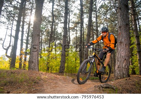 Cyclist in Orange Riding the Mountain Bike on the Trail in the Beautiful Fairy Pine Forest Lit by Bright Sun. Adventure and Travel Concept.