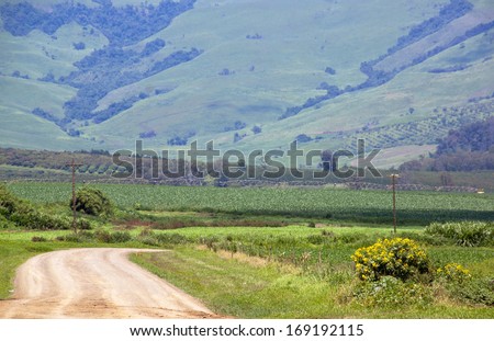 winding farm road with irrigation system in corn field