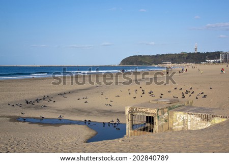 DURBAN, SOUTH AFRICA - JUNE 16, 2014: Many unknown people enjoy sunny day on beach with pigeons in foreground on Addington beach in Durban, South Africa