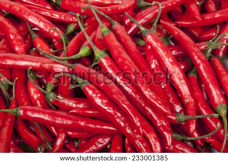 closeup collection of bright shiny red chillies
