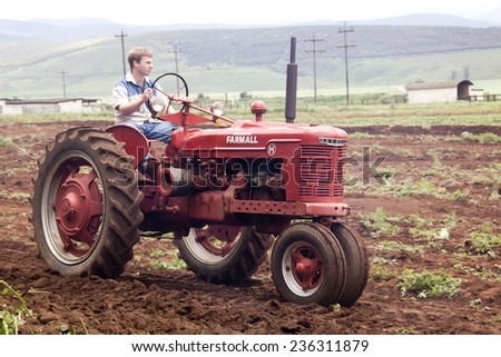 Richmond, KwaZulu Natal, South Africa - December 7, 2014: Unknown man on Vintage Farmall tractor at Natal Vintage Tractor and Machinery Club at Baynesfield Estate in Richmond, KwaZulu-Natal