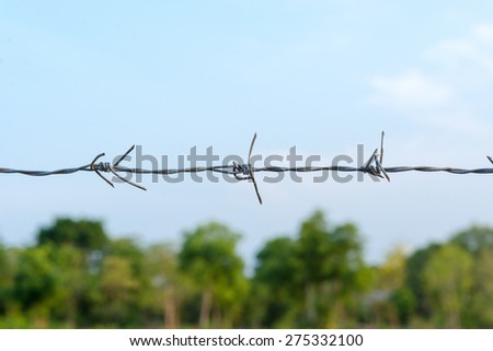 Barbed wire fence of Park Farm
