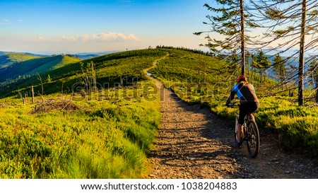Mountain biking cycling at sunset in summer mountains forest landscape. Woman cycling MTB flow trail track. Outdoor sport activity.