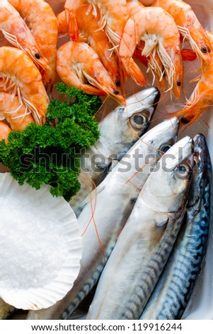 Seafood, fish - fresh mackerel and shrimps in cuisine