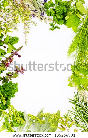 Freshly harvested herbs, herbs frame over white background