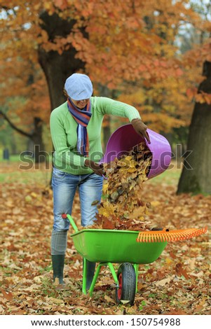Autumn - woman raking autumn leaves in the garden