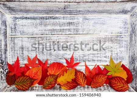 Autumn background - border with colorful autumn leaves over wooden background