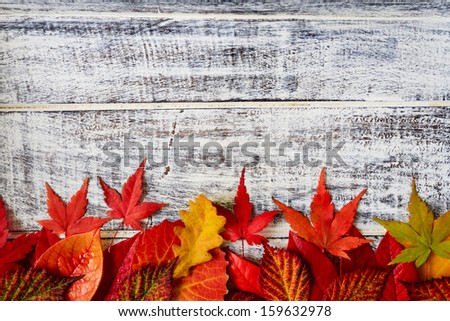 Autumn background - border from colorful leaves