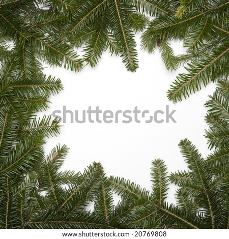 Spruce frame with white background