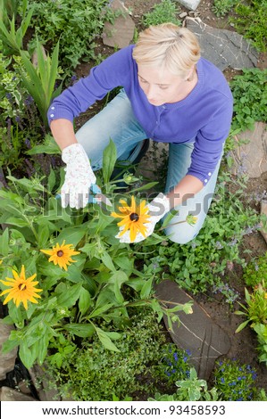 Gardening, flower garden - woman working in the garden