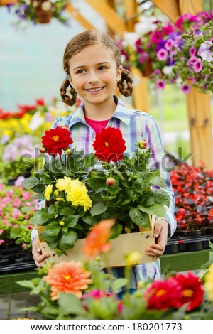 Planting, garden flowers - Lovely girl holding flowers in garden center