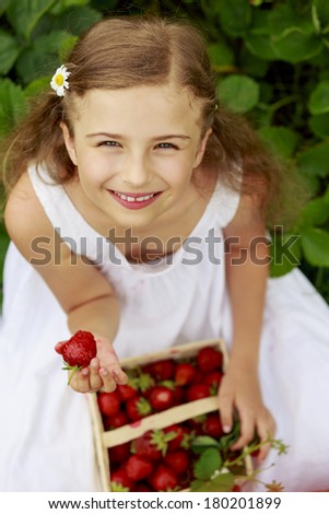 Strawberry field - young girl with picked strawberries in the garden