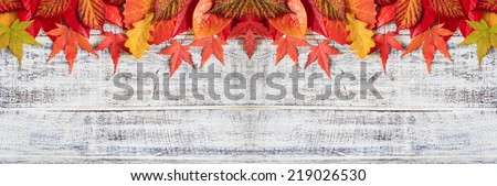 Autumn background - border from colorful leaves, space for text