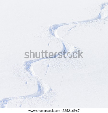 Skiing snow freeride tracks on powder snow Skiing snow freeride tracks on powder snow