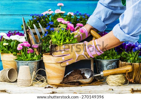 Work in the garden, planting pots