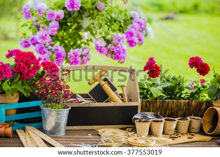 Gardening - Work in the garden, planting pots