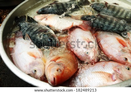 Some perch fishes are sold in the market in Vietnam.