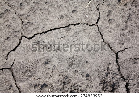 Dry agricultural brown soil detail natural background, soil dirt texture surface with some fine grain in it under bright sunlight. Dried cracked earth, soil erosion, drought