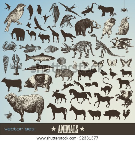 vector set: animals - collection of 60 detailed animal illustrations and animal silhouettes