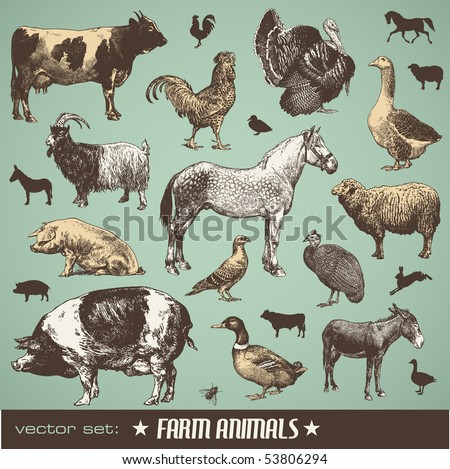 vector set: farm animals - various retro-style illustrations