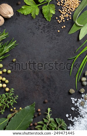 various herbs and spices arranged as a frame on an old metal tray, copyspace