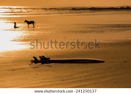 surf table, baby and dog on the beach