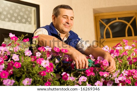 Senior man florist working in the garden